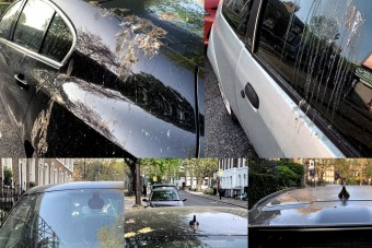Mesterséges madárürüléktől marad szebb az autó