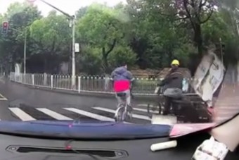 Az év jelenete játszódott le egy zebrán két bringás között