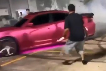 Miattuk mondják azt, hogy nagy az Isten állatkertje