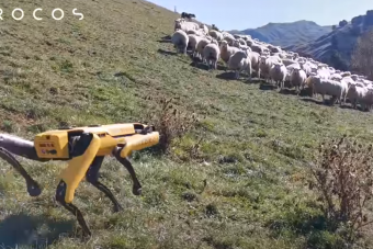 Juhokat terel, a szőlőben melózik a legfejlettebb négylábú robot