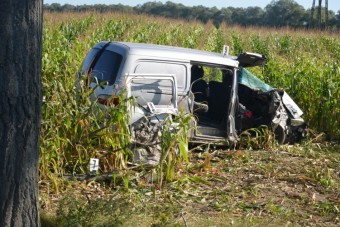 Kikerülte a döglött borsodi rókát, csúnya vége lett