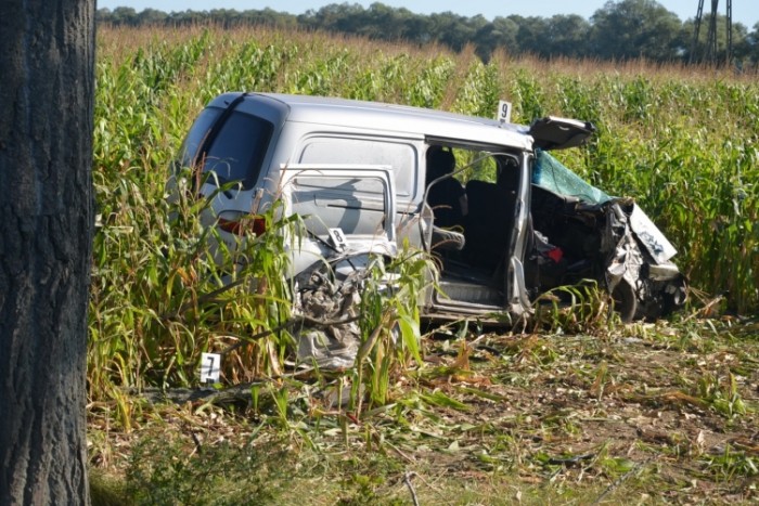 Kikerülte a döglött borsodi rókát, csúnya vége lett
