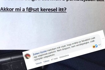 Cetli landolt a szélvédőn, a kommentelők pedig megvadultak, imádjuk őket