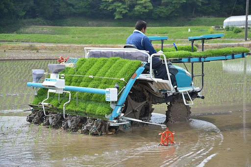 A rizsültető traktor nekünk földöntúli szerkezet, de Ázsiában egyszerű munkagép 1 A rizsültető traktor nekünk földöntúli szerkezet, de Ázsiában egyszerű munkagép 1