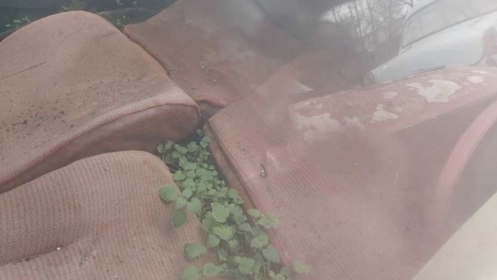 Elhagyott egyedi sportkocsikra bukkantak Bulgáriában 5