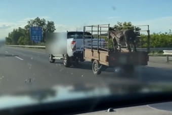 150-nel húzta a szamarat az autós az M5-ösön