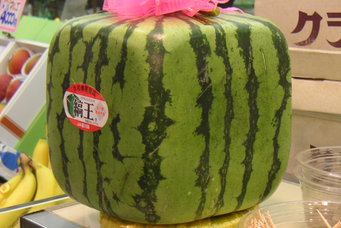 Beérett a japán kockadinnye