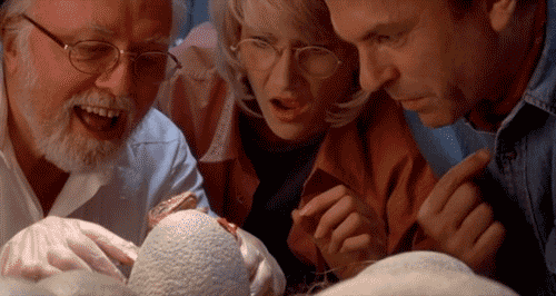 A világ legkisebb dinoszaurusztojását fedezték fel Japánban 1