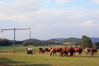 Álomkirándulások a karantén után 7