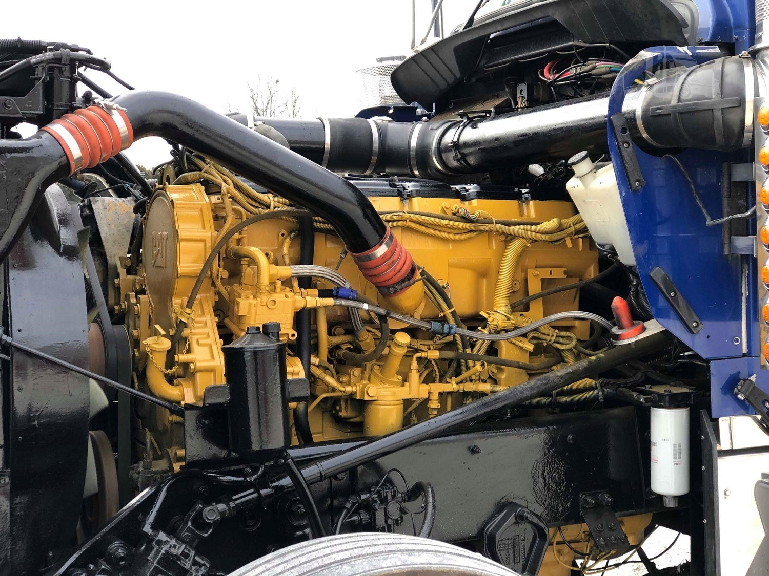 Ez a csőrős 42-szer kerülhette volna meg a Földet 3