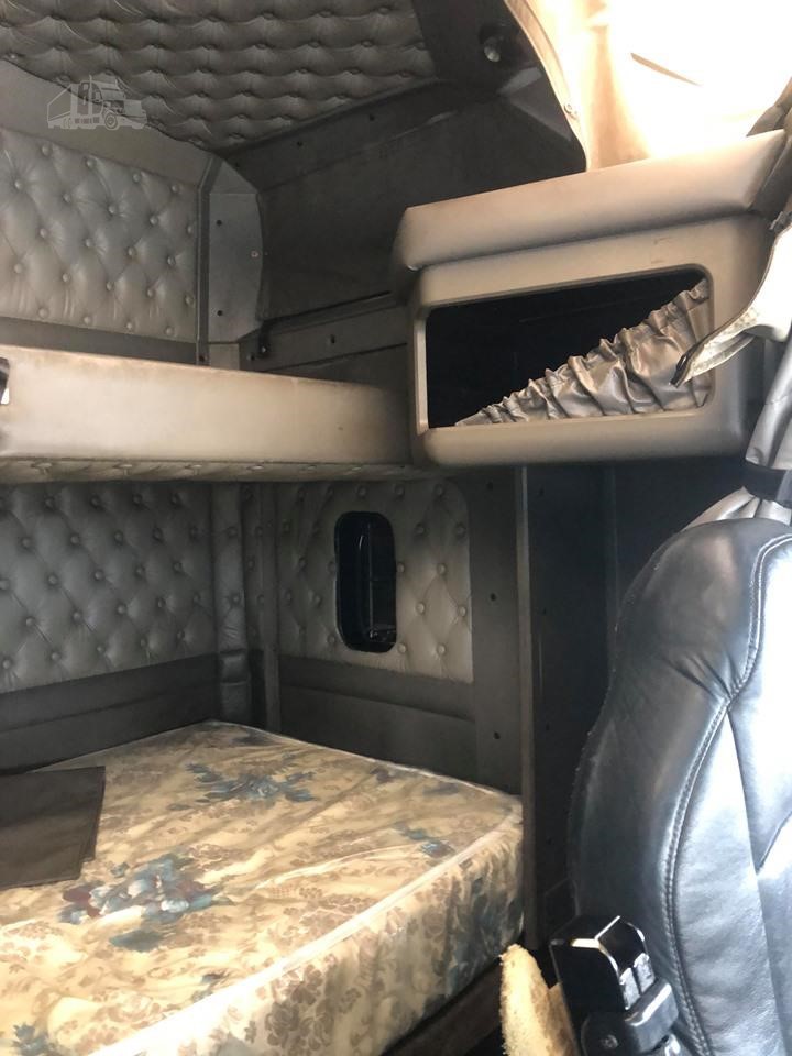 Ez a csőrős 42-szer kerülhette volna meg a Földet 2