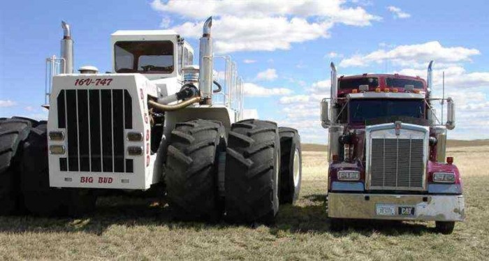 Álomkirándulások a karantén után 11