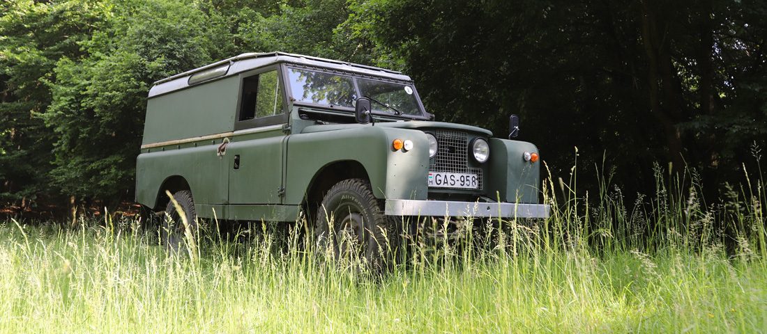 Unatkozol? Mosómedve helyett vegyél inkább öreg autót!