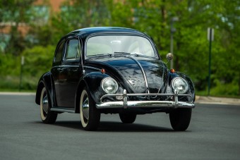 A Bogár, aki találkozott Heidi Klummal