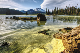 Zöldre festi a hegyi tavakat a klímaváltozás az Egyesült Államokban