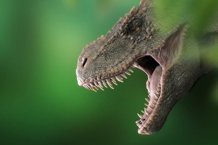 Ők lehettek a dinoszauruszok ősei