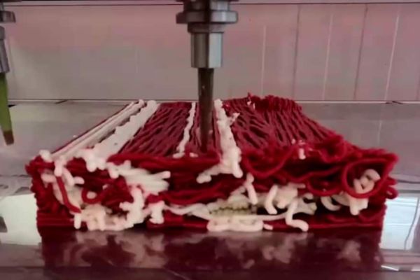 Ennek a steaknek semmi köze a marhákhoz 3