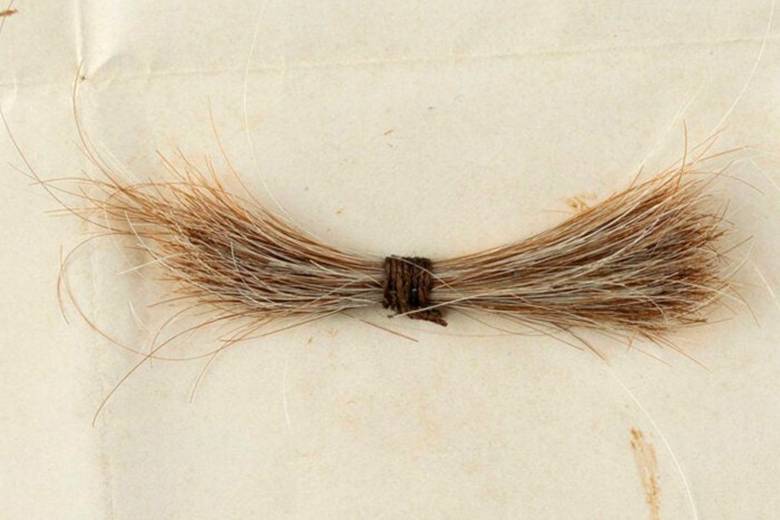 22 milliót is érhet ez a hajtincs