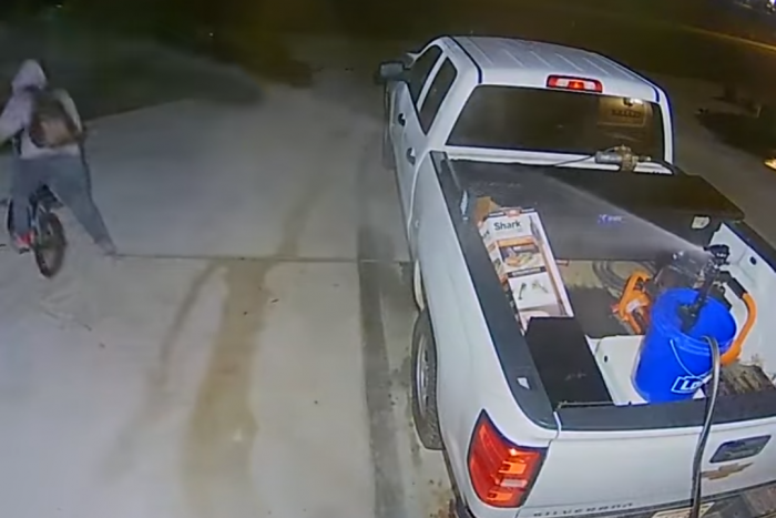 Zseniális, ahogy elűzi a rosszfiút a házi lopásgátló