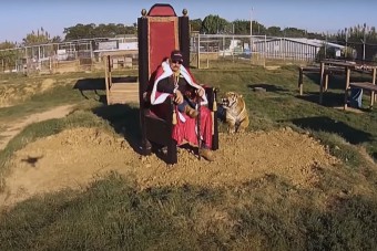 Végleg bezár a híres állatkert