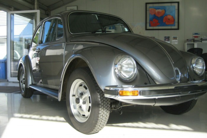 Döbbenet: 38 km-t futott Bogár keresi új gazdáját