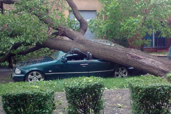 Faág törte össze az autómat, ki fizeti a kárt?
