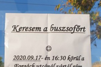 A hét romantikus üzenete egy budapesti buszmegállóba van ragasztva