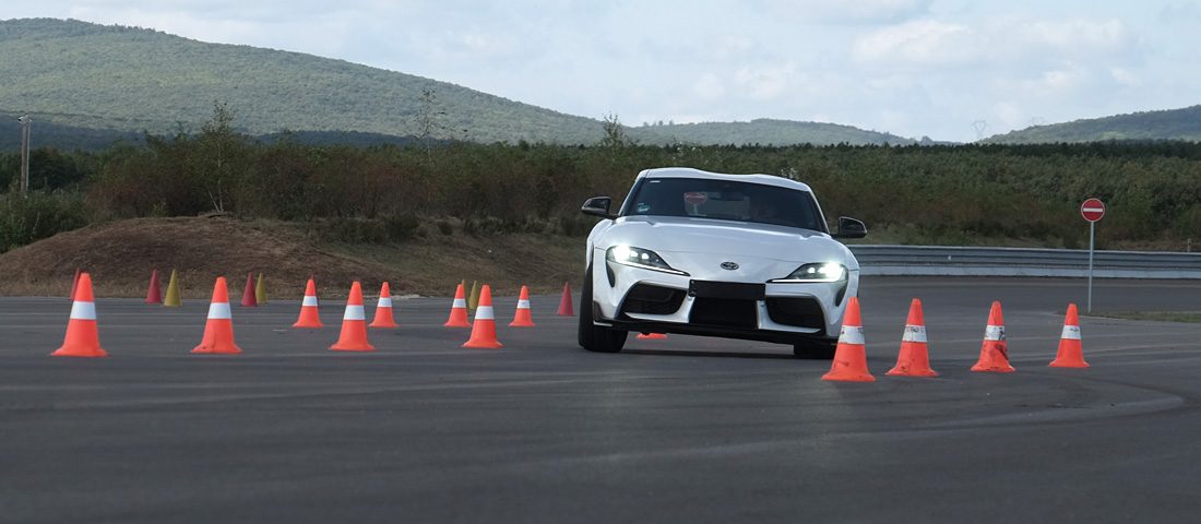 Felnőtt játszótér, aranyáron