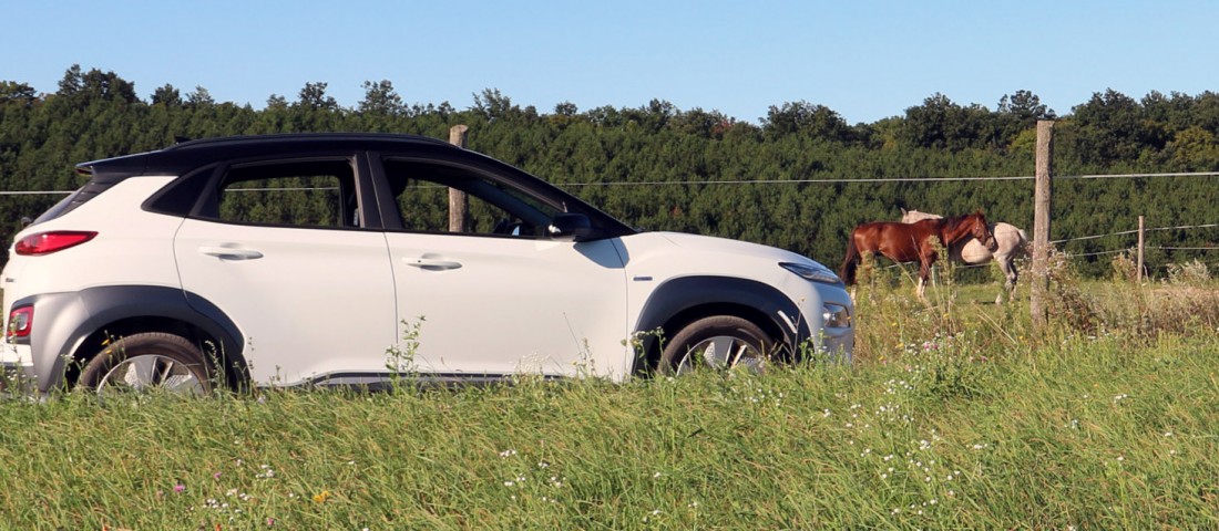 Nagyon meg fog lepni a mostani Balaton