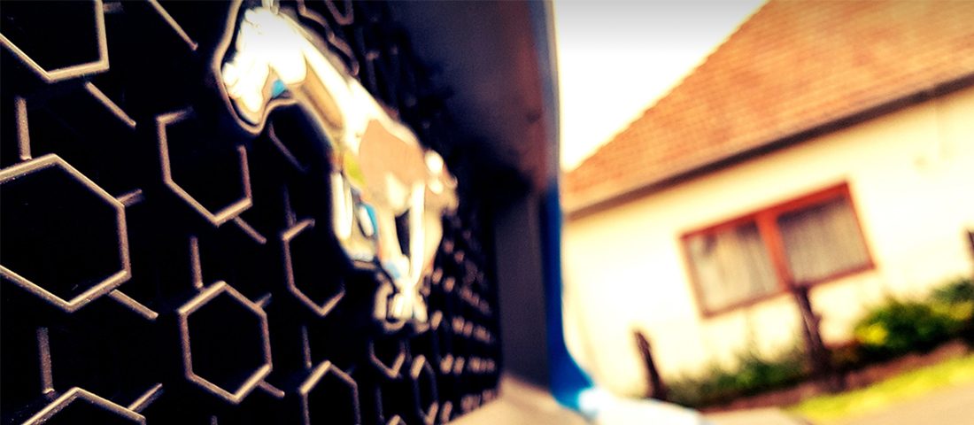 10 Mustang, amiről jó eséllyel még soha nem hallottál