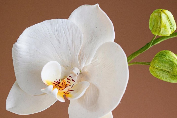 A cukrászat legmagasabb szintjét képviselik ezek a virágok