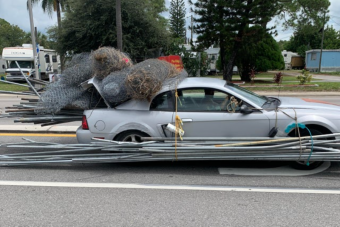12 friss sírva röhögős fotó a szállítás fekete öves mestereiről