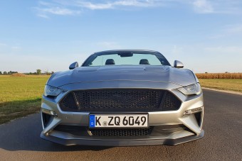 Ez a boldogság titkos forrása?