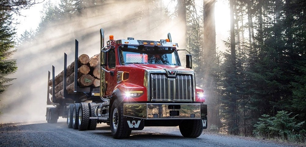 Vigyáz a gyalogosokra Amerika új csőrőse