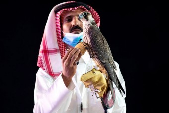 Példátlan összegért kelt el egy vándorsólyom