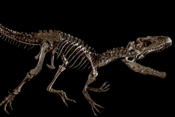 Kegyetlen magas áron talált gazdára egy dínócsontváz