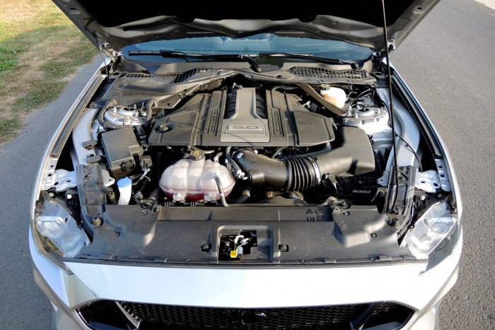 Ez a boldogság titkos forrása? 9