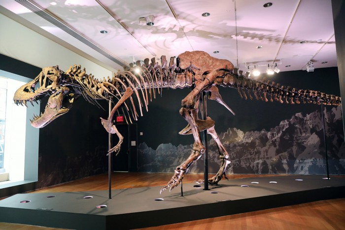 Brutális rekordáron kelt el Stan, a T-rex csontváza