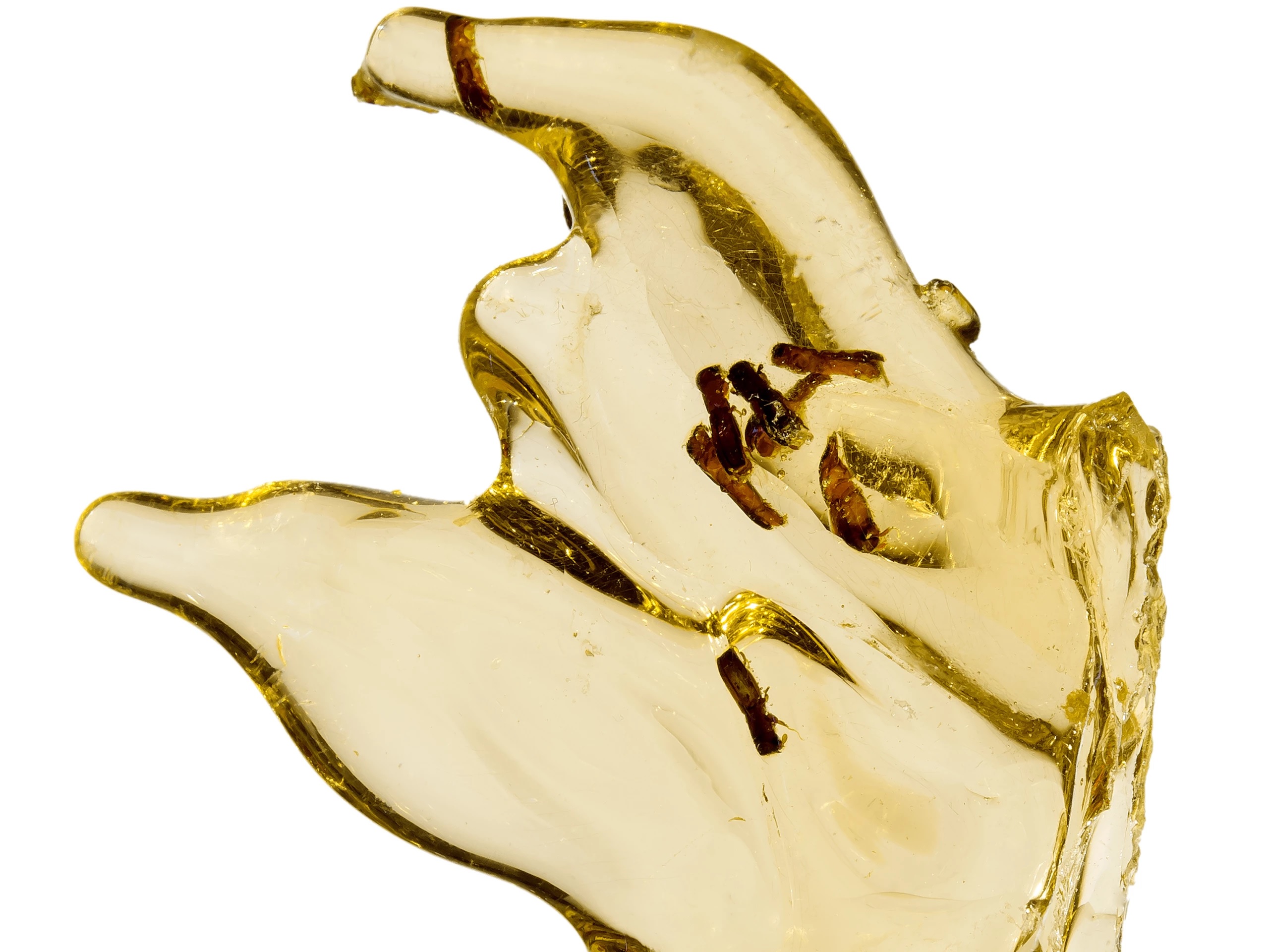 Sikerült a tudósoknak az, amiről a Jurassic Park készítői álmodoztak 1