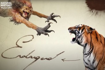 Összecsapnak a valódi és a varázsvilág állatai