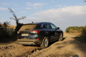 Egérutak a határban, avagy kalandos dugókerülés