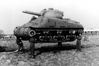 Nem találod ki, miért festették csíkosra a teheneket a II. világháború alatt 2 Nem találod ki, miért festették csíkosra a teheneket a II. világháború alatt 2