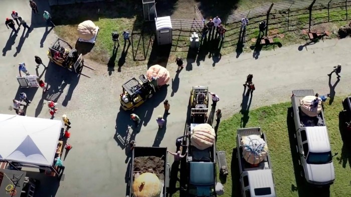 Egytonnásnál is nehezebb az év legnagyobb töke 2 | Vezess Egytonnásnál is nehezebb az év legnagyobb töke 2