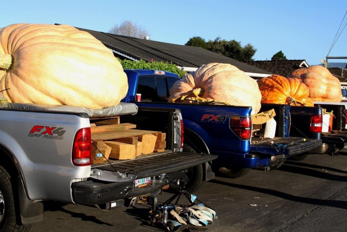 Egytonnásnál is nehezebb az év legnagyobb töke