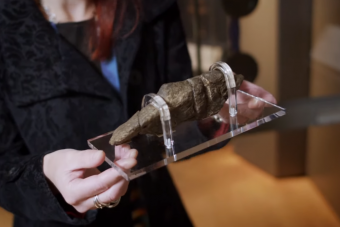 A legnagyobb megkövesedett ürülék egyben a legértékesebb is