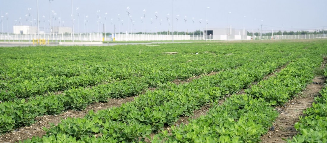 Furcsa dolgok teremnek a BMW akkugyárában