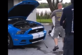 Meglepő vadállatot találtak egy Ford Mustang orrában