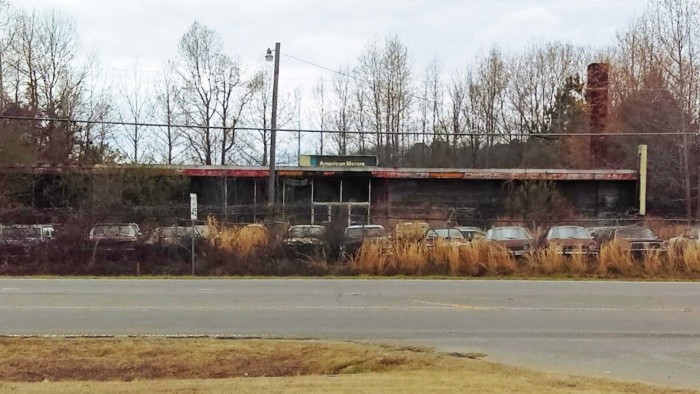 Száz autó rohad egy elhagyott kereskedésben a méteres gazban, és mind eladó 3