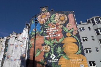 Falfirka tisztítja a városi levegőt