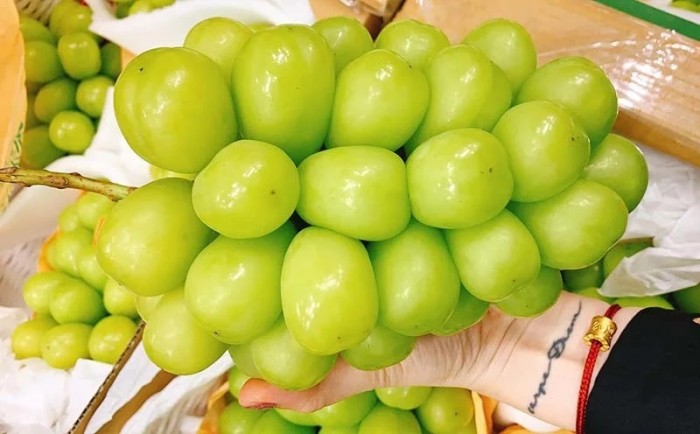 Tojásméretű szőlőszemek termettek egy fürtön 3